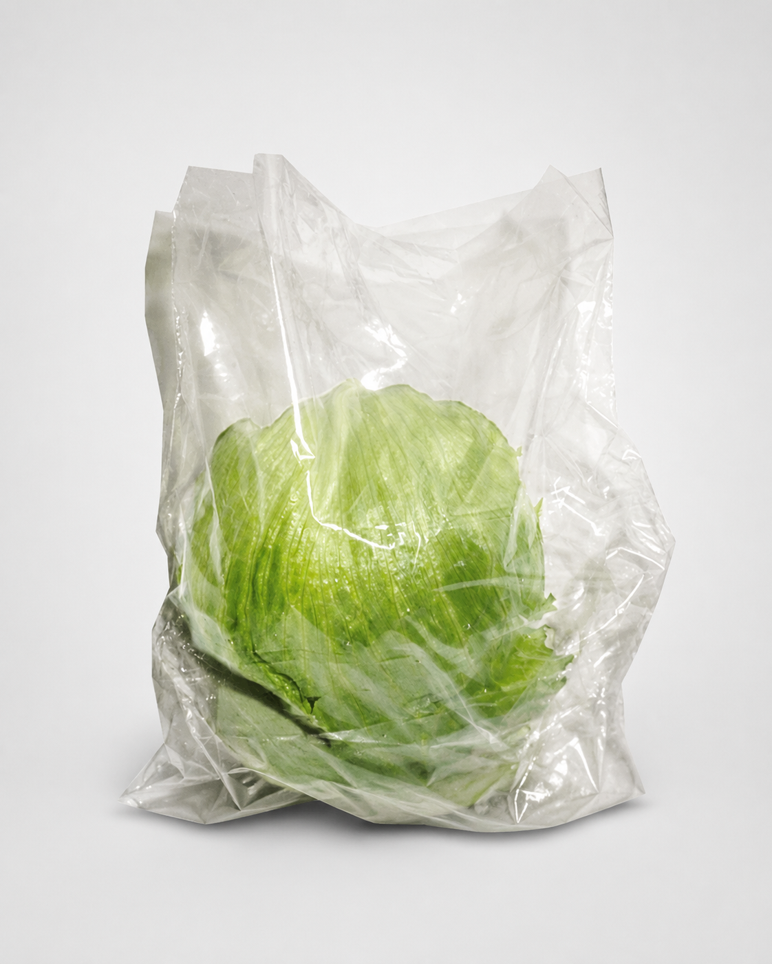 12 1/2X 18 LETTUCE BAG 5lb