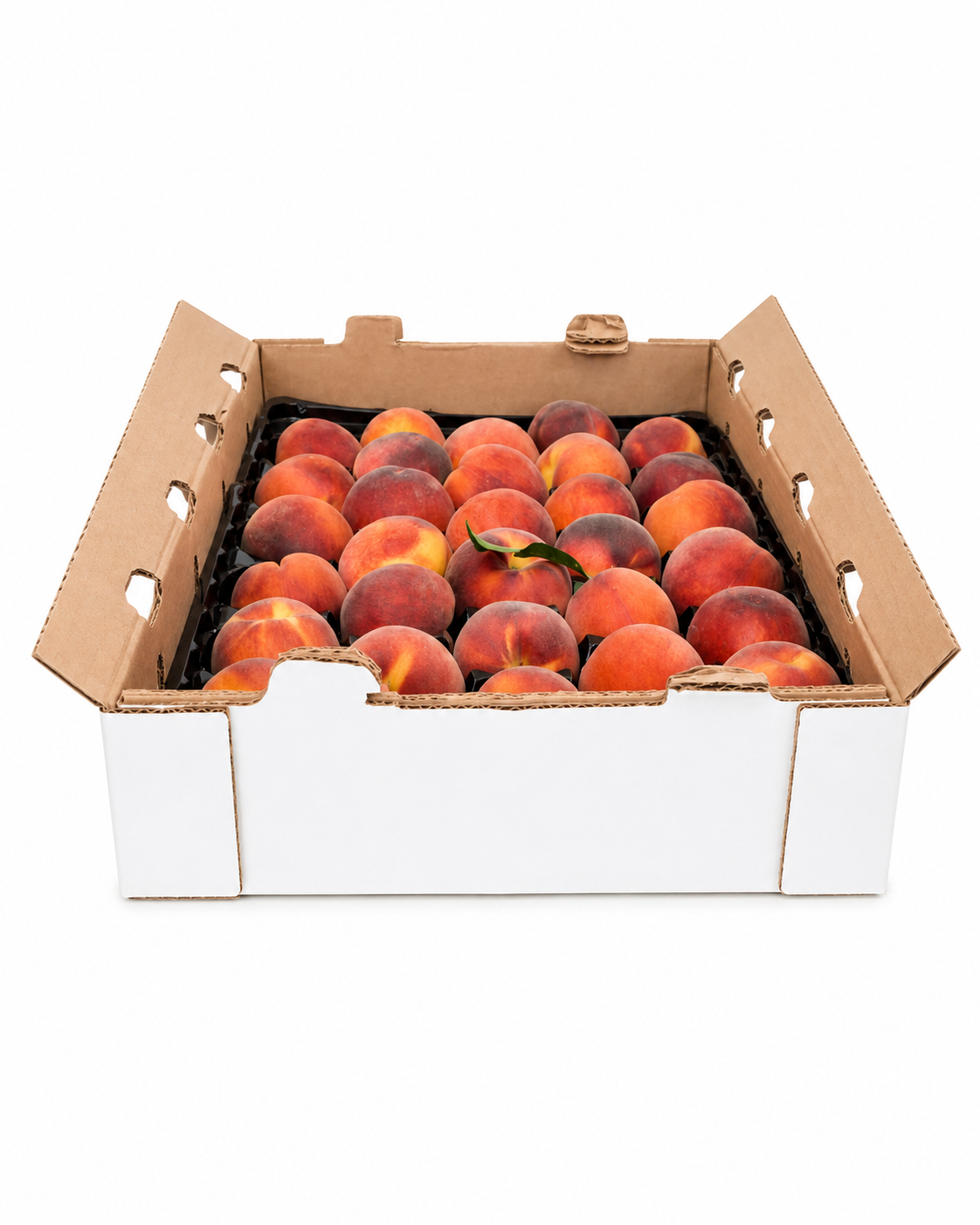 PANTAPAK BOX (250 p/p)