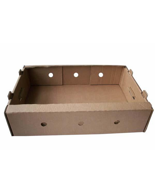 URBAN ROOTS TRAY BOX (750 P/P)(13.5x10.25x7.75)
