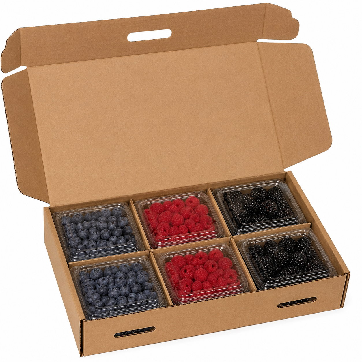 BOX REPACK- BERRIES 6PK  750 P/P