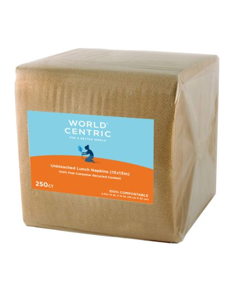 NAPKIN 2 PLY 13X13 4,500 CT WORLD CENTRIC